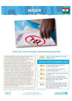 UNICEF Profile: FGM in Niger (2014)